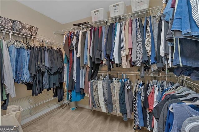 walk in closet featuring carpet flooring