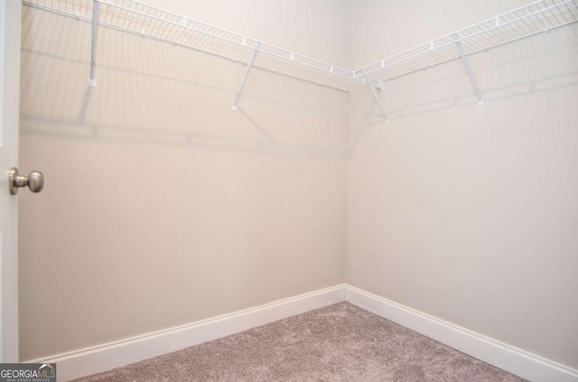 walk in closet with carpet