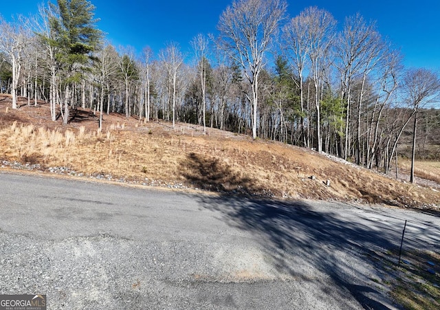 Listing photo 3 for LOT2 Ridges Dr, Morganton GA 30560