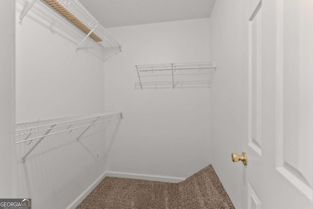 spacious closet with carpet