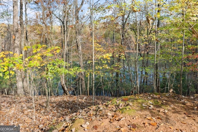 view of local wilderness with a view of trees