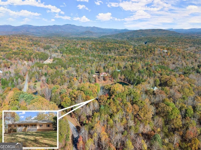 aerial view with a mountain view and a view of trees