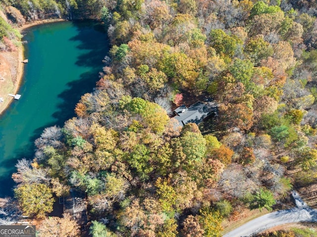 aerial view with a water view and a wooded view