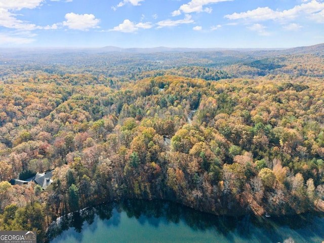 drone / aerial view featuring a wooded view and a water and mountain view