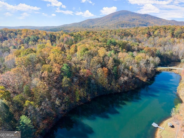 aerial view featuring a water and mountain view and a view of trees