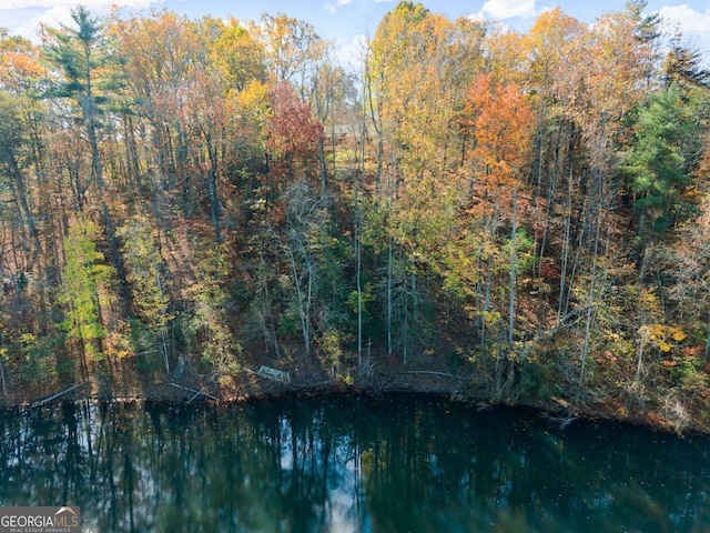 view of water feature featuring a view of trees