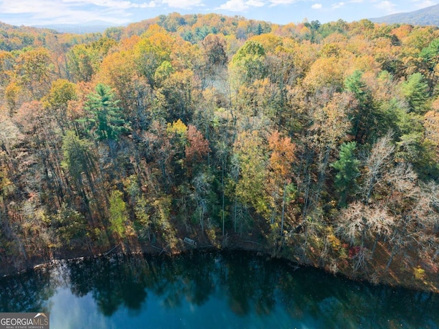 aerial view with a forest view and a water and mountain view