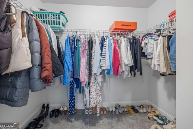 spacious closet with carpet floors