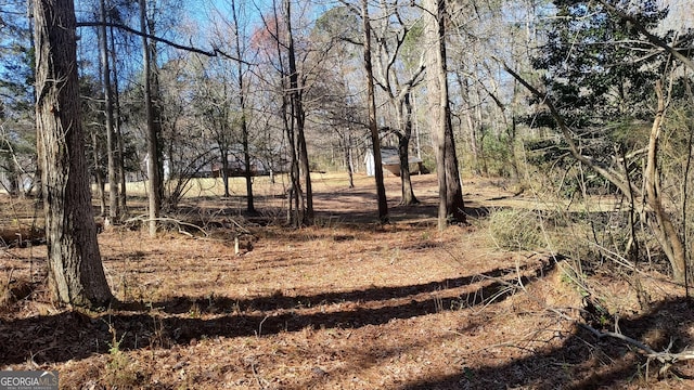 view of local wilderness