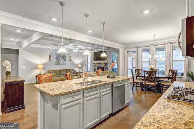 kitchen with a fireplace, appliances with stainless steel finishes, dark wood finished floors, and a sink