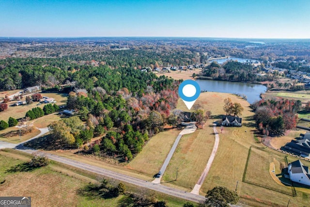 bird's eye view featuring a water view and a forest view