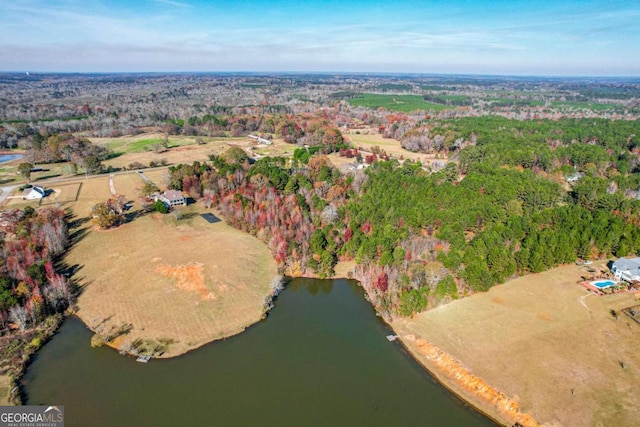 drone / aerial view with a water view and a view of trees