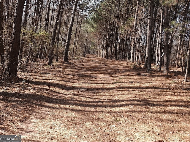 view of street featuring a view of trees