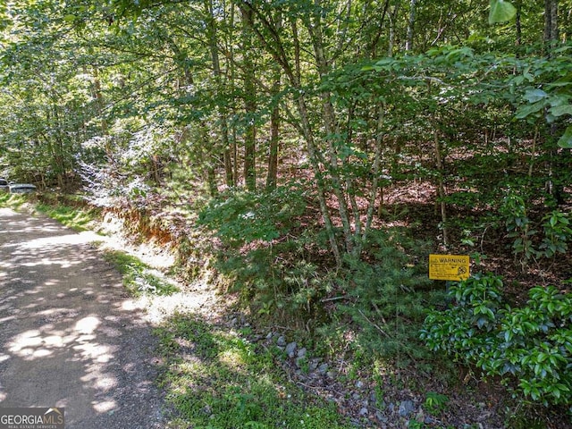 Listing photo 3 for LOT9 Galloway Blvd Unit 9, Blairsville GA 30512