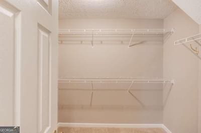 view of walk in closet