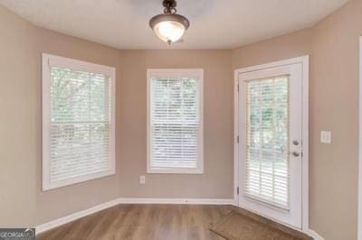 entryway with plenty of natural light, wood finished floors, and baseboards