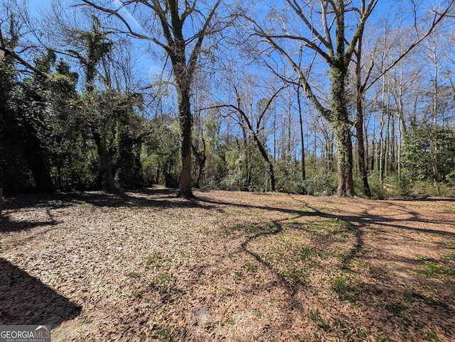 view of yard with a forest view