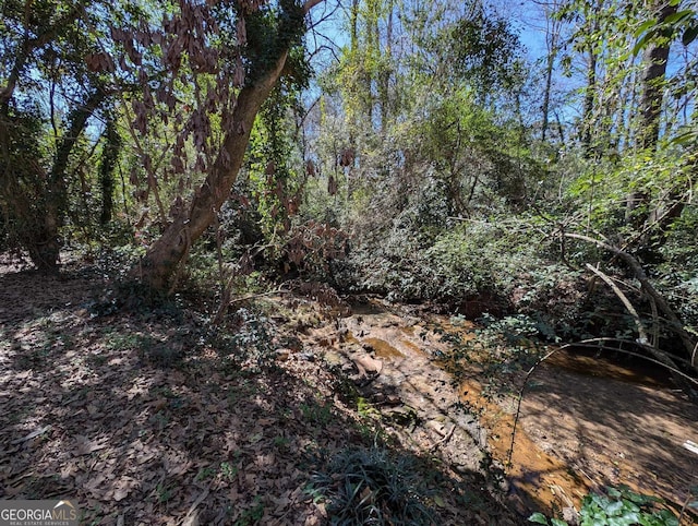 view of local wilderness with a forest view