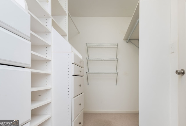 walk in closet with carpet floors