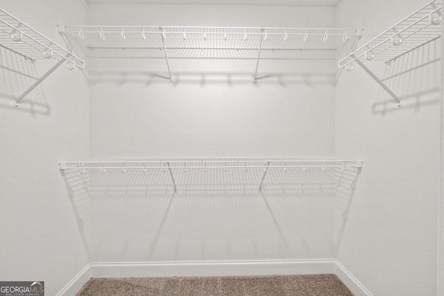 walk in closet featuring carpet flooring