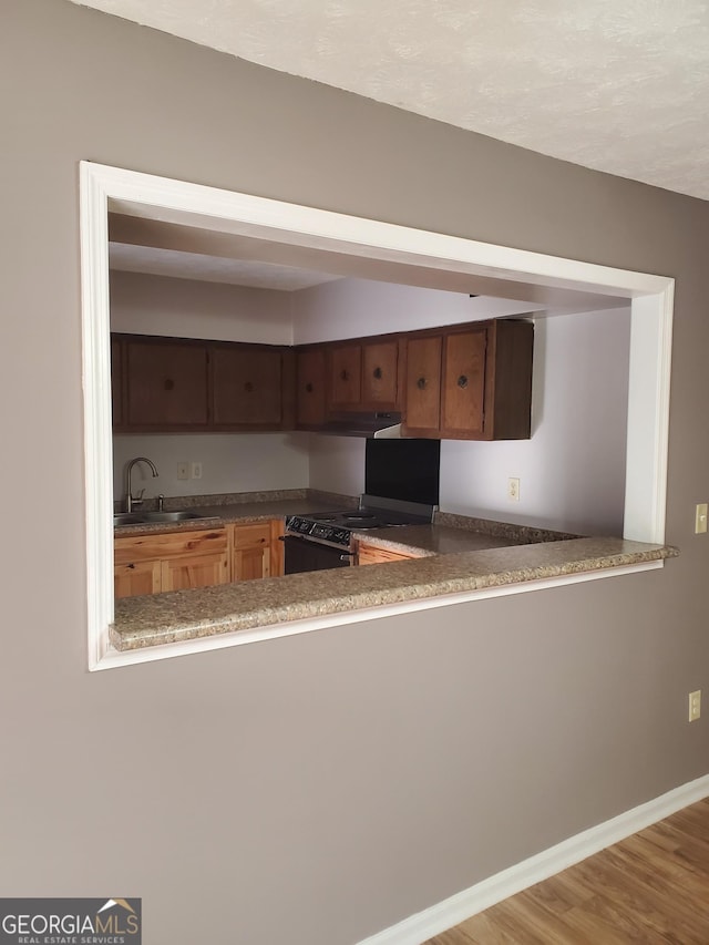 kitchen with electric range, baseboards, wood finished floors, under cabinet range hood, and a sink