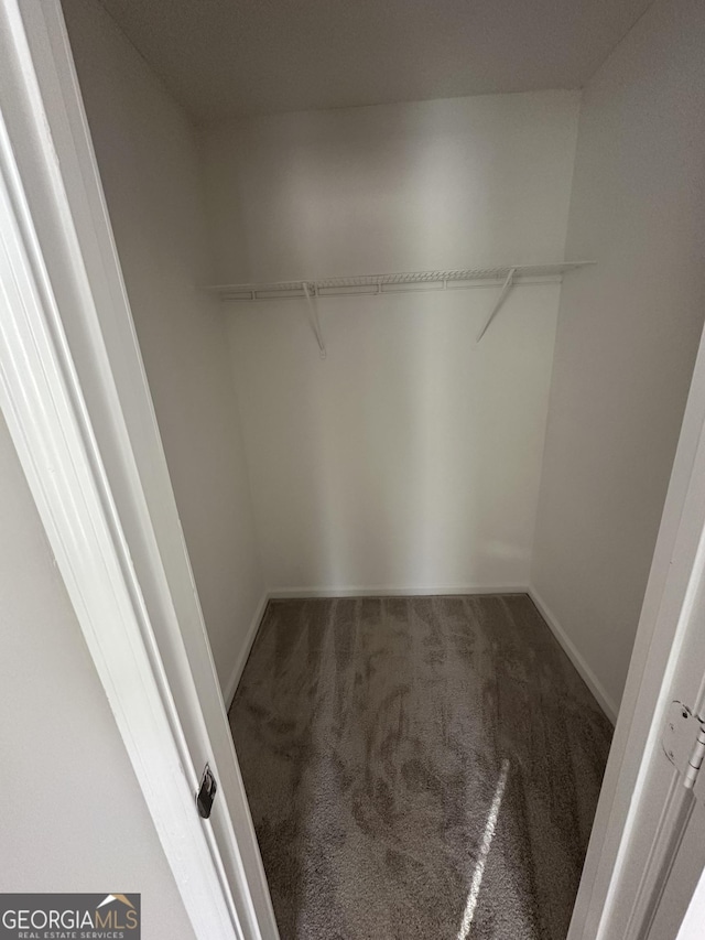 spacious closet with carpet flooring