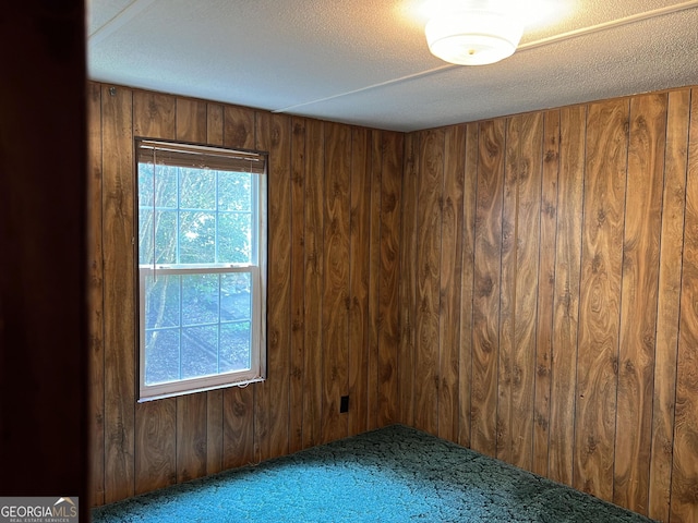 empty room featuring a textured ceiling, wood walls, and a wealth of natural light