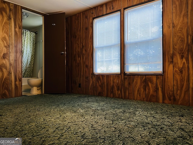 spare room featuring wood walls