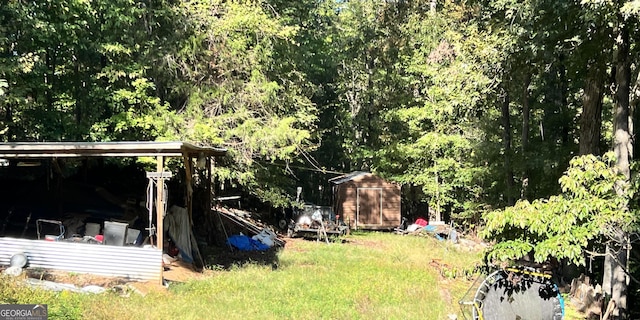 view of yard with a storage shed and an outdoor structure