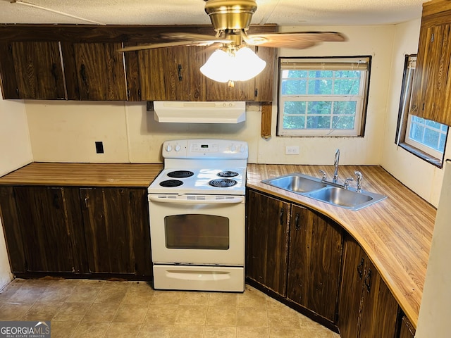 kitchen with dark brown cabinetry, electric stove, ceiling fan, a sink, and exhaust hood