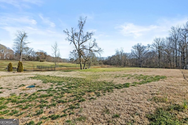 view of yard with fence and a rural view