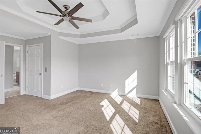 spare room with crown molding, a raised ceiling, a wealth of natural light, and light colored carpet