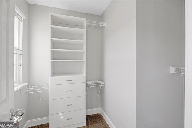 view of spacious closet