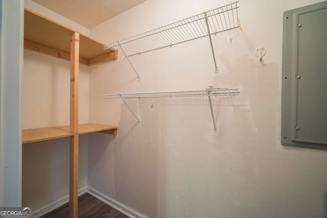 spacious closet featuring dark wood finished floors and electric panel