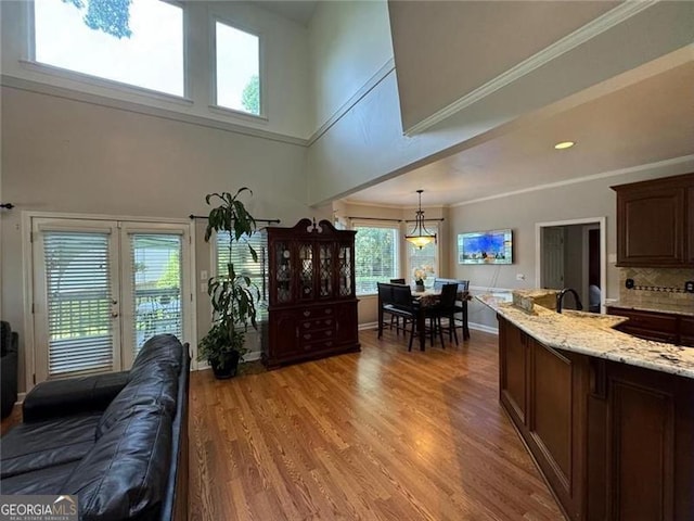 living area with light wood finished floors, ornamental molding, and french doors