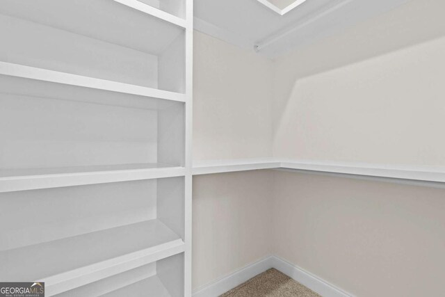 3636 Castoff Ct, Gainesville, GA 30506 - view of storage area