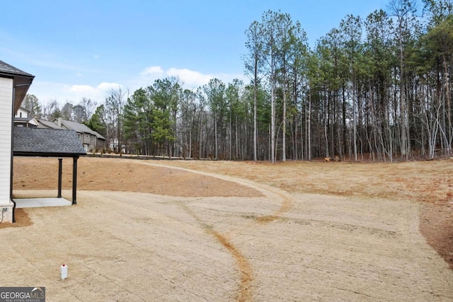 3636 Castoff Ct, Gainesville, GA 30506 - view of yard