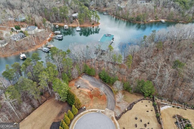 3636 Castoff Ct, Gainesville, GA 30506 - birds eye view of property with a water view and a forest view