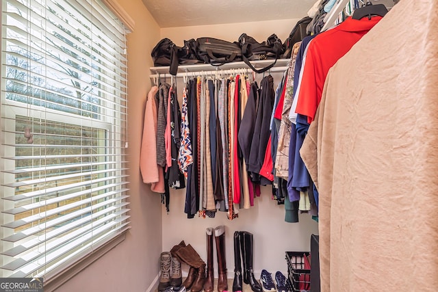 view of spacious closet