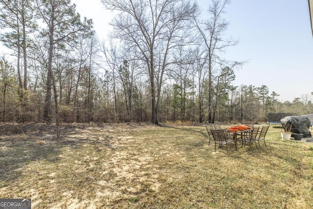 view of yard featuring a trampoline