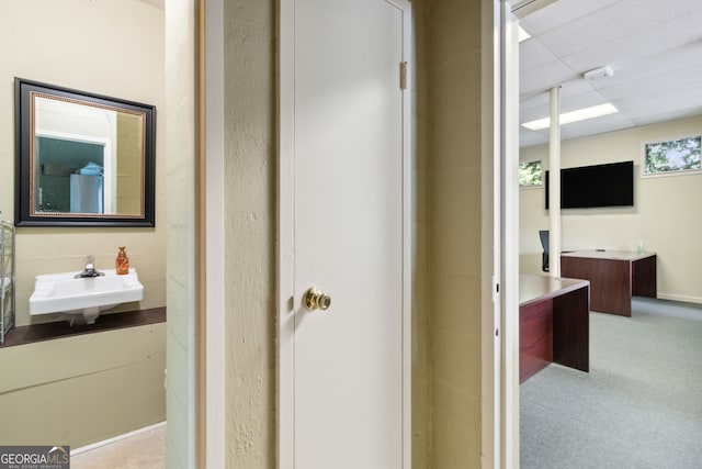 interior space with carpet, a sink, and a paneled ceiling