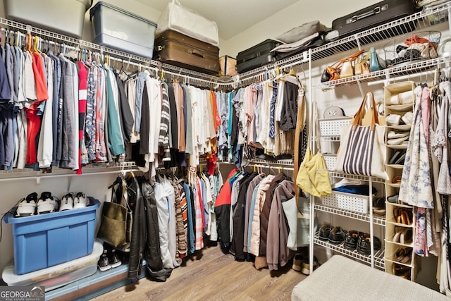 walk in closet featuring wood finished floors