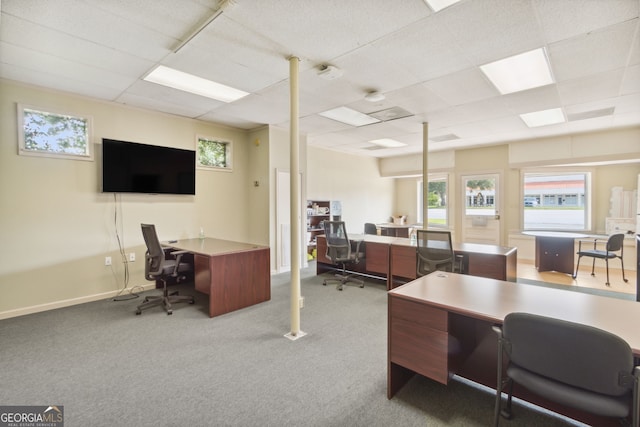 carpeted office with a drop ceiling and baseboards