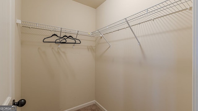 spacious closet with carpet flooring