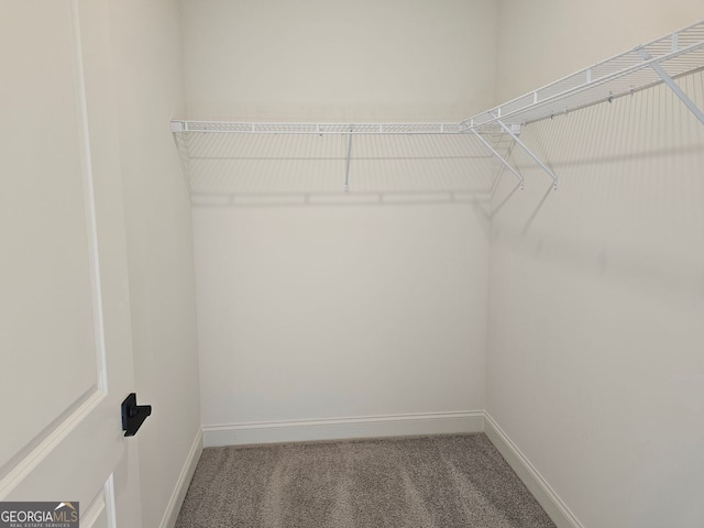 spacious closet with carpet flooring