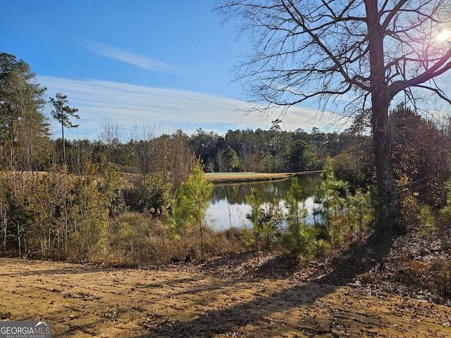 property view of water with a forest view