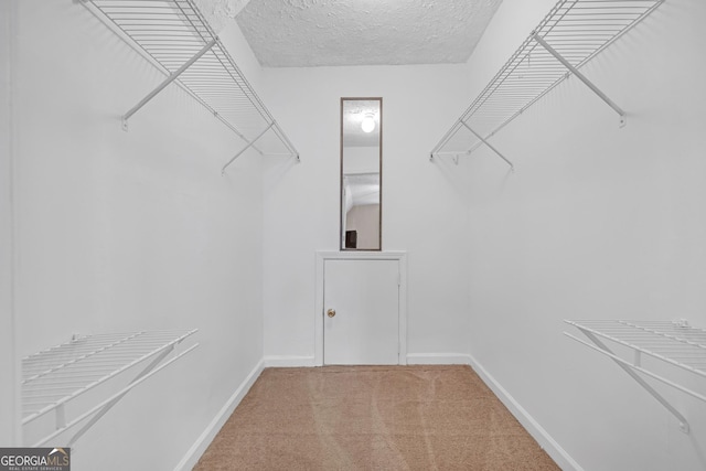 spacious closet featuring carpet floors