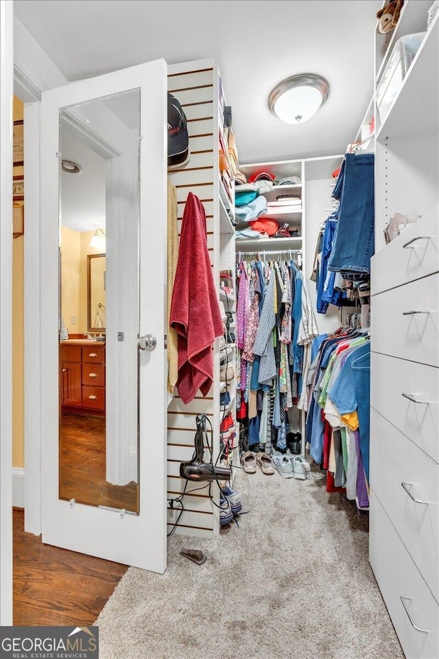 spacious closet featuring carpet flooring