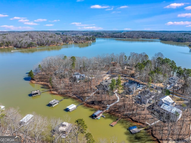 birds eye view of property with a water view and a forest view