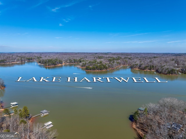 property view of water with a wooded view